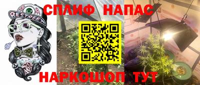 твердый Славгород