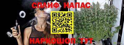твердый Славгород