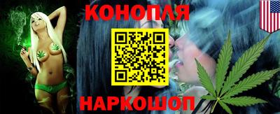 прущие грибы Сланцы