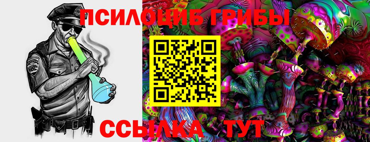 Нижнеудинск  Псилоцибиновые грибы Cubensis  Вход с VPN 