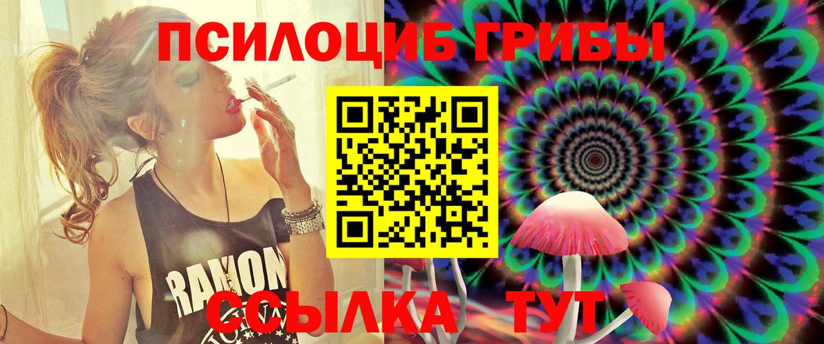 Псилоцибиновые грибы прущие грибы Нижнеудинск